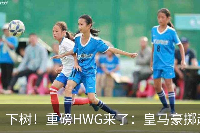 下树！重磅HWG来了：皇马豪掷超1亿欧，签下19岁天才边锋迪奥曼德