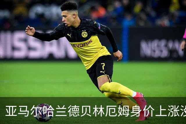 亚马尔哈兰德贝林厄姆身价上涨没问题，阿尔瓦雷斯凭什么也能涨？