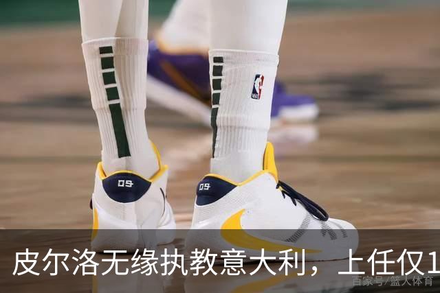 皮尔洛无缘执教意大利，上任仅16天的马尔蒂尼、莱昂纳多辞任